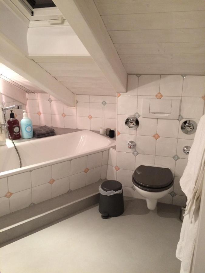 Chiemgau-Loft Zwischen Seenzauber Und Gipfelglueck Riedering エクステリア 写真